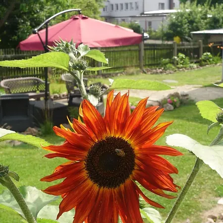 3br Orowo Group And Magic Garden Near Sopot 13p Apartman Gdynia